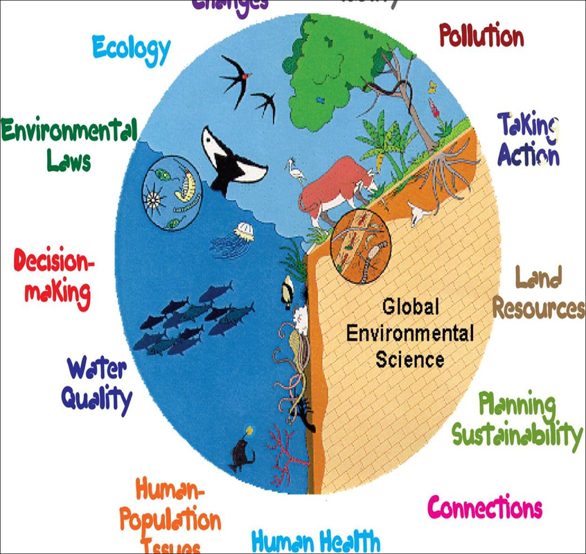 Environmental science homework help